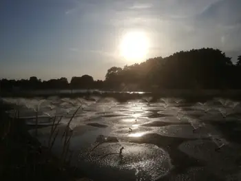 Landal Dwergter Sand (Germany)